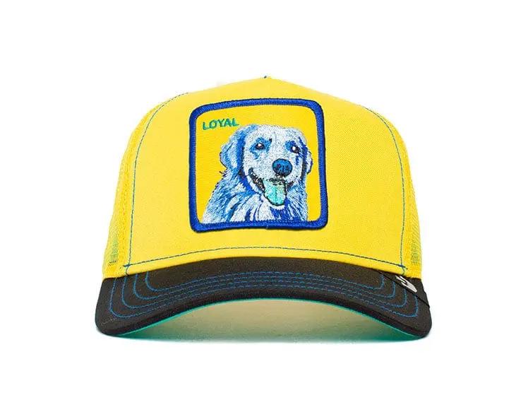 Jockey Goorin Bros Doggy Trip Unisex Amarillo